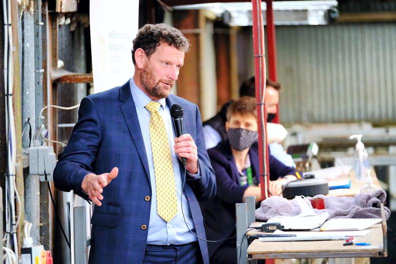 Colm Markey withdraws from European election race - Vimarsana News