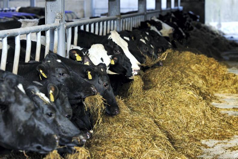 Macra calls for fodder committee to be reconvened 