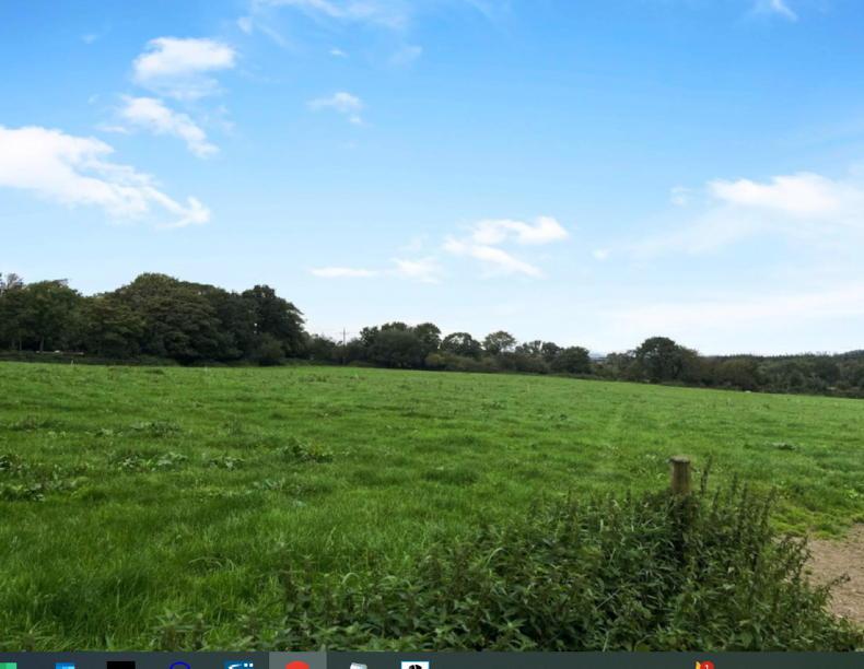 Small farm up for auction near historic Wexford village