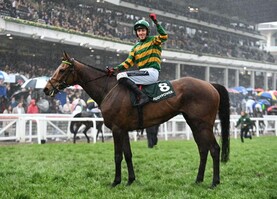 Irish Horse: Newland’s calls to restrict Irish influence in Britain condemned Irish Horse: Newland’s calls to restrict Irish influence in Britain condemned