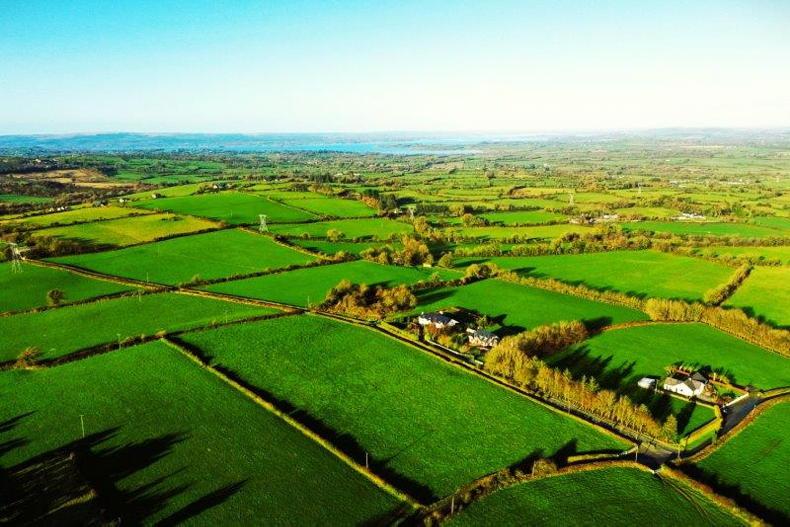 Farmer clinics for BISS and other schemes announced - Vimarsana News