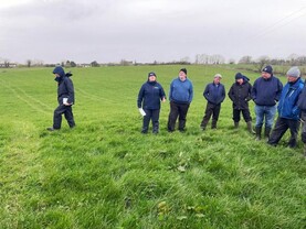 Record rainfall disrupting grazing plans in Mayo Record rainfall disrupting grazing plans in Mayo