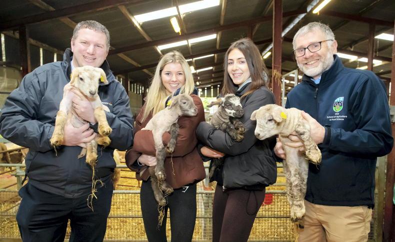 Does Irish farming need a new advocate? - Vimarsana News
