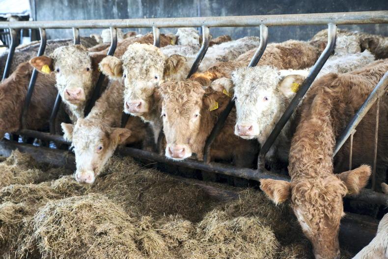 Minister McConalogue calls fodder committee meeting this week