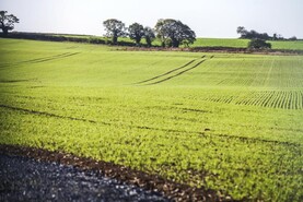 Former Beet Ireland site sold Former Beet Ireland site sold