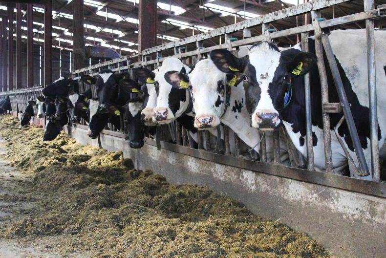 Spring weather: 'pits are empty, tanks are full' - Vimarsana News