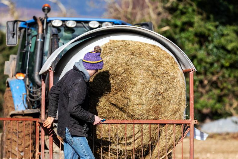 7% of farmers have no silage left - Teagasc survey - Vimarsana News