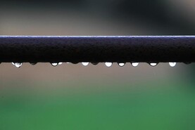 Get cows grazing when and where you can, Teagasc advises Get cows grazing when and where you can, Teagasc advises