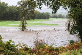 Opinion: reasons to be cheerful - parts one to four Opinion: reasons to be cheerful - parts one to four