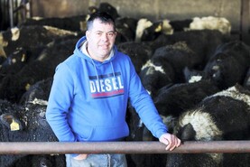 Health special: coping with the unexpected side of farming Health special: coping with the unexpected side of farming