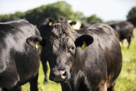 Changes needed for the CBV to have an impact Changes needed for the CBV to have an impact