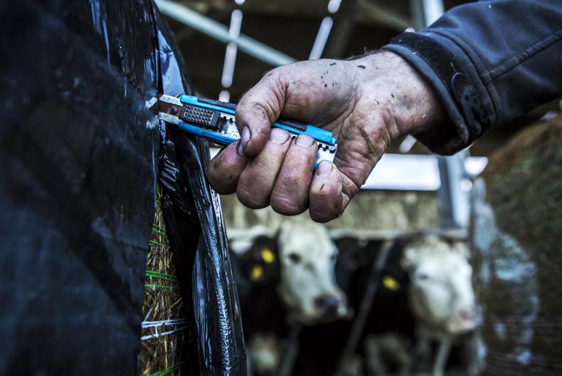 Teagasc sets up fodder register and helplines for farmers - Vimarsana News