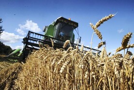 Dempsey at Large: stabilising the tillage industry Dempsey at Large: stabilising the tillage industry