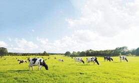Agri-jobs: labour demand in Kilkenny Agri-jobs: labour demand in Kilkenny