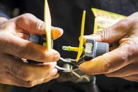 BVD eradication finishing line in sight - Minister BVD eradication finishing line in sight - Minister