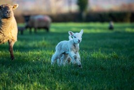 Highs of 17°C forecast this weekend - Met Éireann Highs of 17°C forecast this weekend - Met Éireann