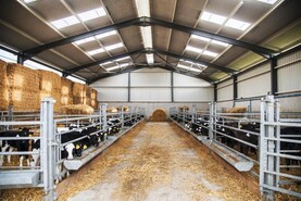 Clarity needed for farmers to invest in their farms Clarity needed for farmers to invest in their farms