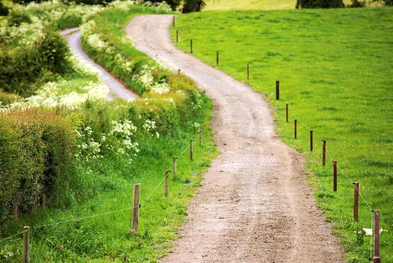 Auctioneers expect Leinster to buck rising land rental trend in 2024 - Vimarsana News