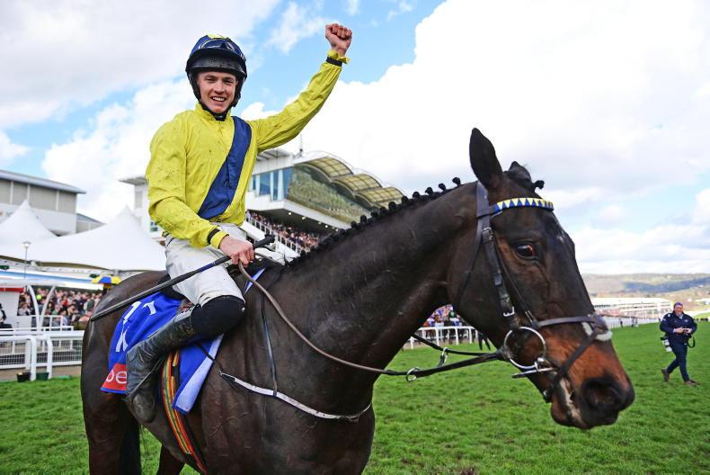 Young Stock Podcast: swapping dairy cows for Cheltenham crowds - Vimarsana News