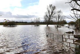 Recalling the disastrous weather crisis of 1924-25 Recalling the disastrous weather crisis of 1924-25