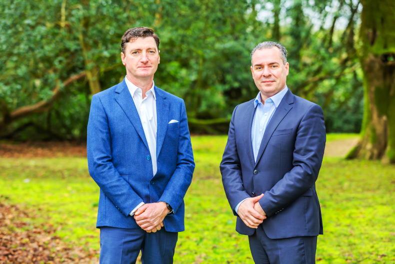 Carbery Group produces "steady" performance in challenging year for dairy - Vimarsana News