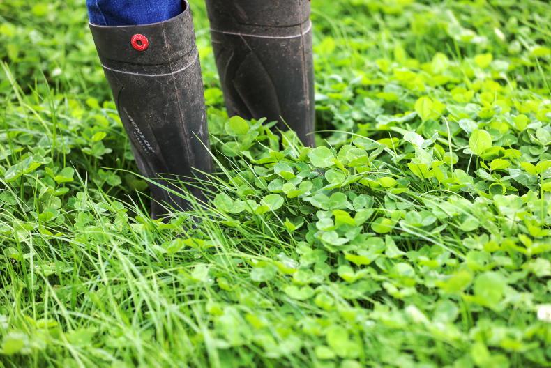 Grass growth ready to take off