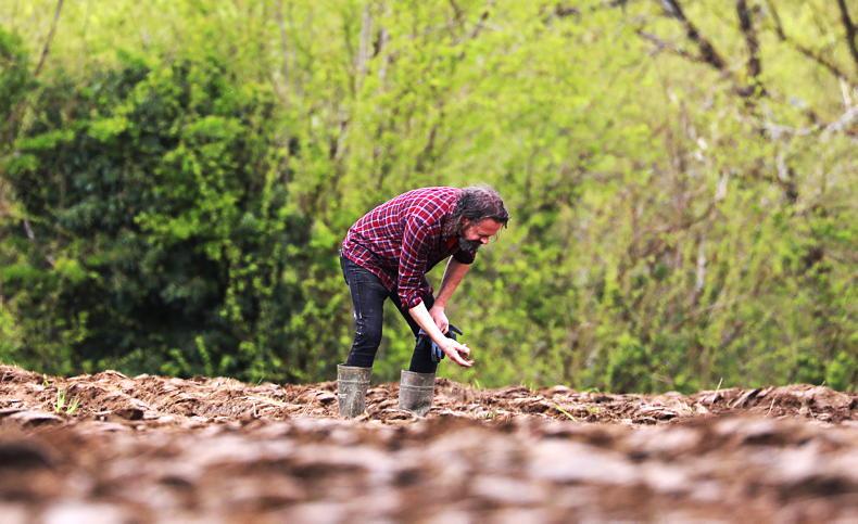 UCC researchers call for investment in protecting soils - Vimarsana News