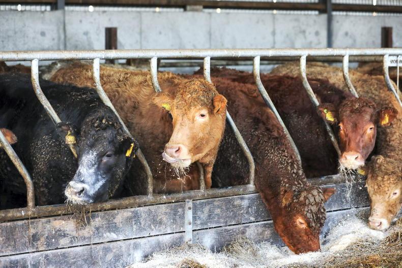 NI Trends: price deals to be made on prime cattle; lamb price steadies - Vimarsana News