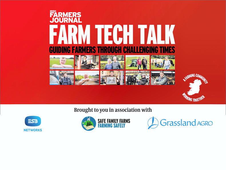 Farm Tech Talk: getting cows back in-calf, lamb prices and long-term milk price - Vimarsana News