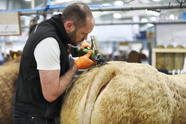Watch: all go at day two of the 155th Balmoral Show - Vimarsana News