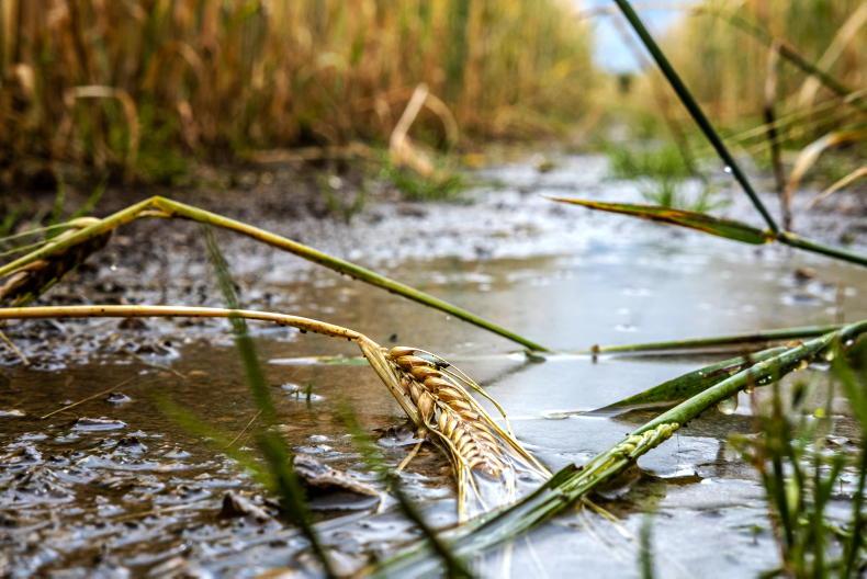 Rainfall up 15% in 2023 due to climate change