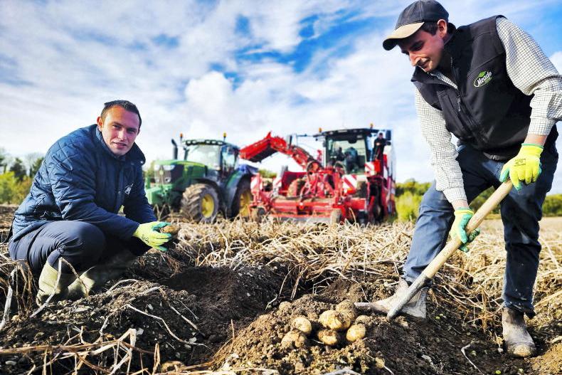 Opportunity for young farmers to become potato farmer for a day - Vimarsana News