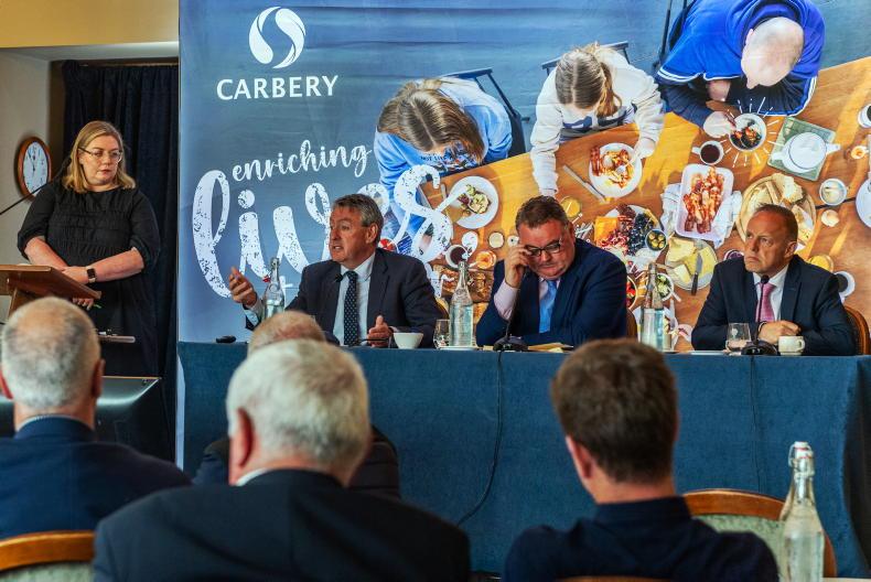 Banks draw ire of MEP candidates at Cork meeting - Vimarsana News