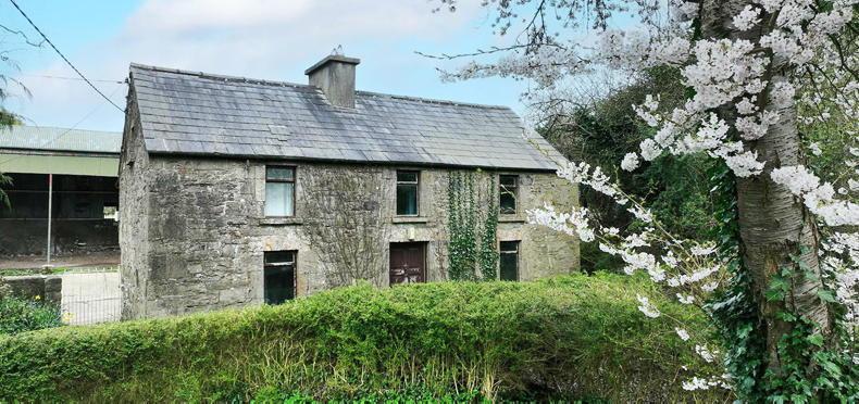 Small farm with big road frontage - Vimarsana News
