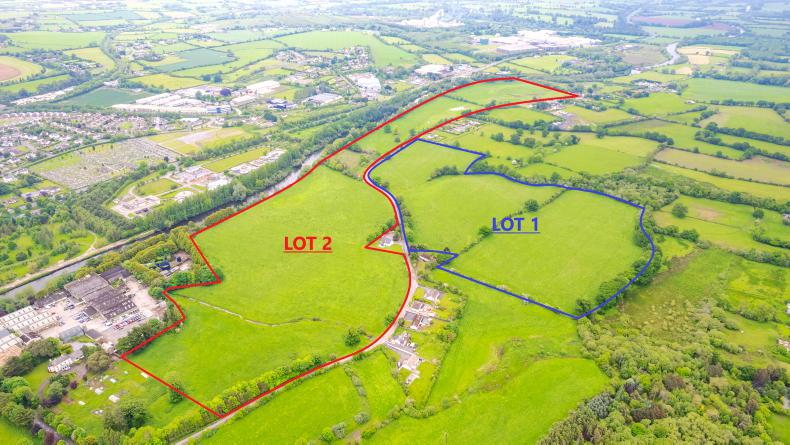 103ac farm on the Suir comes with fishing rights - Vimarsana News