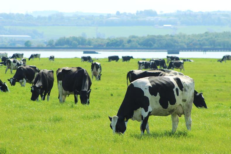 Agri jobs: recent graduates sought for farm manager roles - Vimarsana News