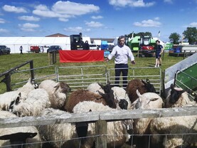 Lamb quotes cut by 20c/kg to 30c/kg, hoggets by 30c/kg to 80c/kg Lamb quotes cut by 20c/kg to 30c/kg, hoggets by 30c/kg to 80c/kg