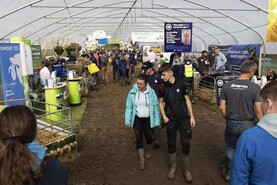 Four sheep societies to see at the Ploughing Four sheep societies to see at the Ploughing