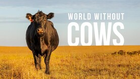 World Without Cows: what could the future hold? World Without Cows: what could the future hold?