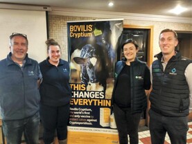 New vaccine for Crypto in calves New vaccine for Crypto in calves