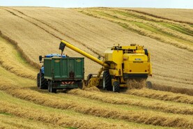 Grain Trends: prices down after rebound Grain Trends: prices down after rebound