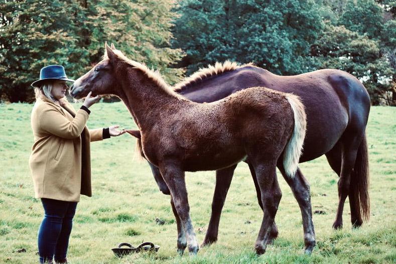 Finding peace after trauma: 'how horses helped me heal