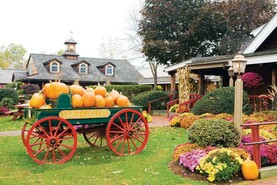 Fall in love with the sights and scents of New England Fall in love with the sights and scents of New England