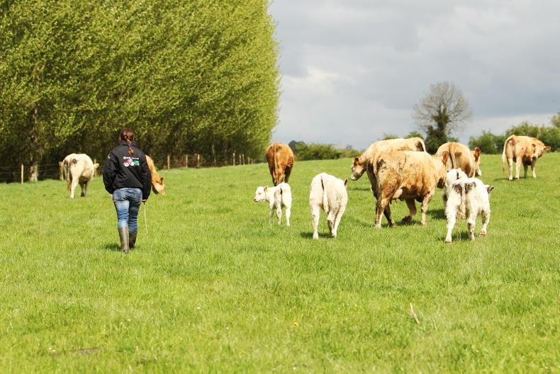 Women in Agriculture Group launches new roadshow event