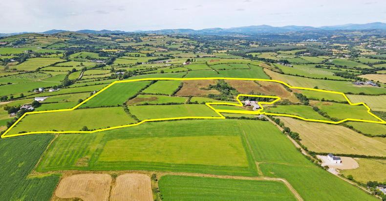 West Cork land parcel is good quality