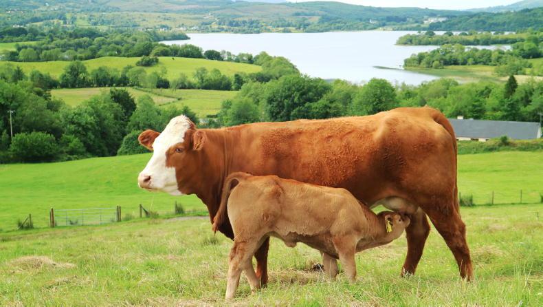 Farmers are key to a low-carbon future