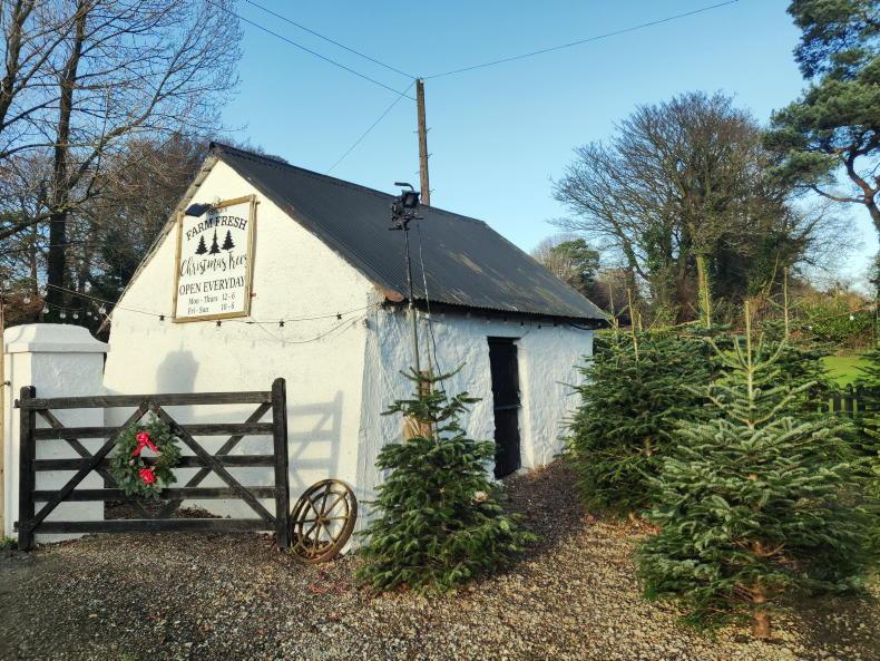 Farm building scheme wins European award