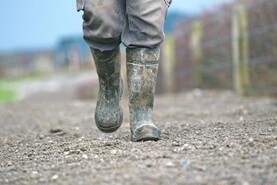Scheme for forgotten farmers 'at long last' Scheme for forgotten farmers 'at long last'