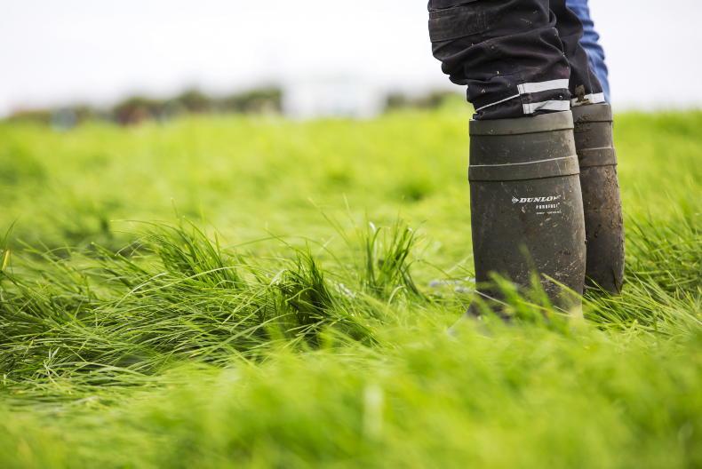 All active farmers must be able to avail of farm transfer relief – ICMSA