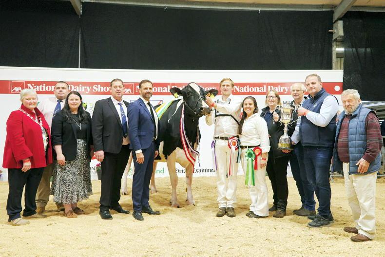 Eedy Doorman Fame retains National Dairy Show title